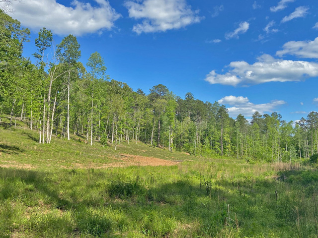 Dawson County land for sale