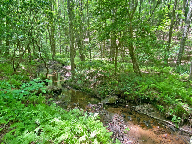 land with creek for sale Lumpkin County