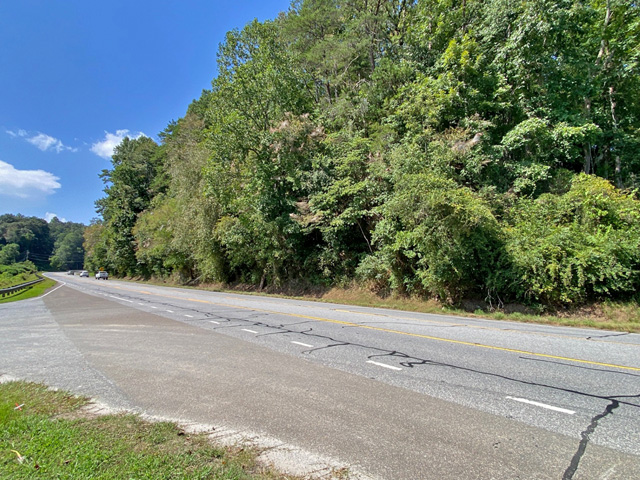 Dahlonega commercial land for sale