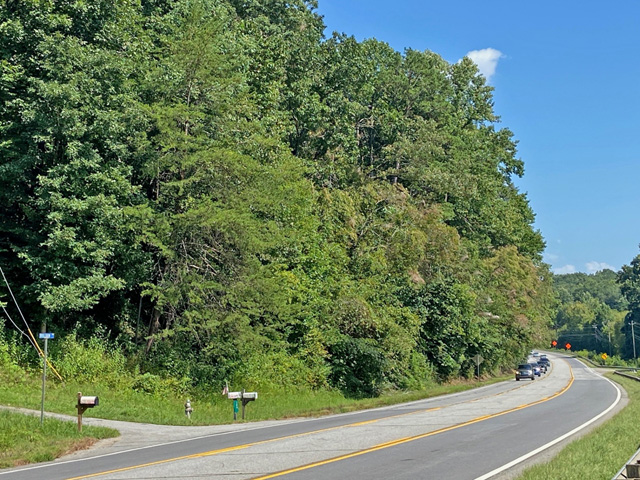land tract for sale Dahlonega