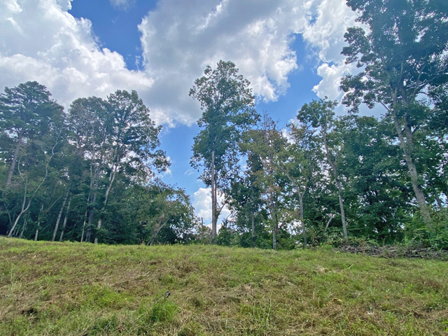 acreage for sale on National Forest in Dahlonega