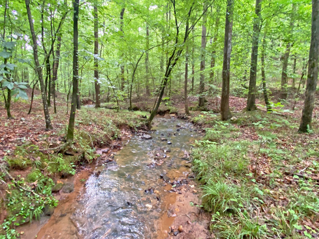 Gold mining property for sale Dahlonega