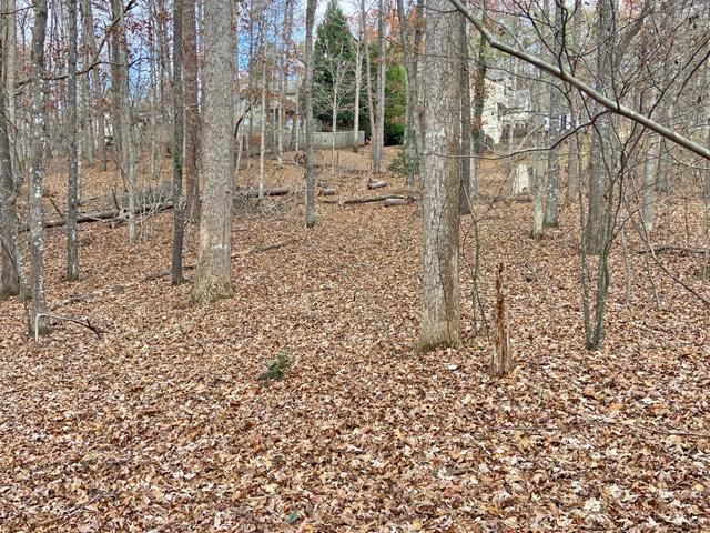 building lot for sale Murrayville GA