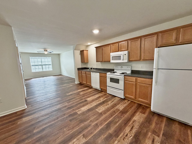 homes for rent Dahlonega