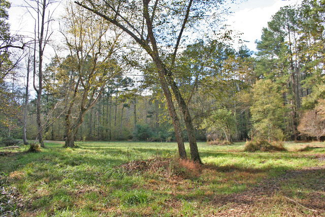 Dahlonega river property